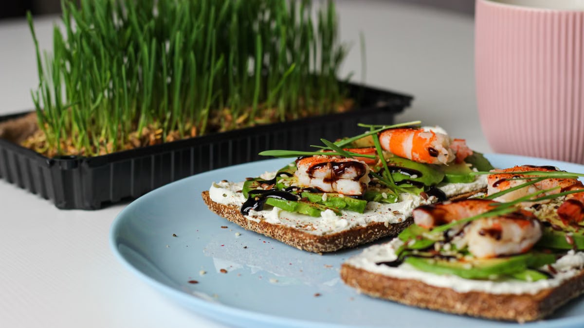Savor this gourmet open-faced sandwich with shrimp, avocado, and fresh greens on rye bread.
